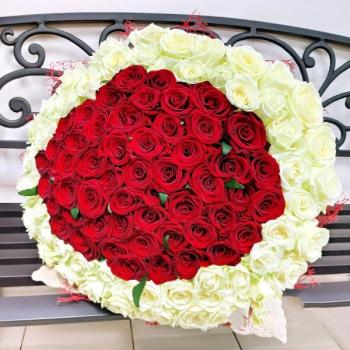 Букет 101 красно-белая роза код  169882