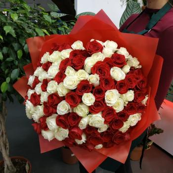 Букет Букет из 101 розы (красные и белые розы) (№  99122)