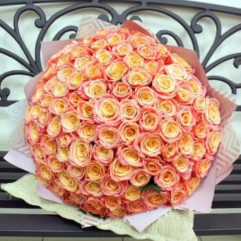 Букет Оранжевые розы Эквадор 101 шт (50 см) (код товара   173188)